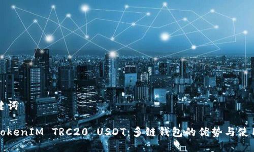 和关键词

了解TokenIM TRC20 USDT：多链钱包的优势与使用指南