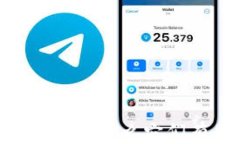 加密货币的未来：为什么