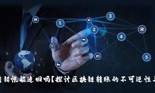 tokenim转错帐能追回吗？探讨区块链转账的不可逆性与解决方案