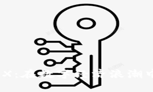 中国加密货币EBX：在数字经济浪潮中崛起的未来货币